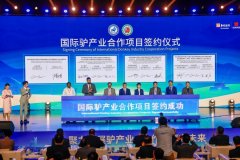 省丨省工做演讲中的“聊城元素”愈加丰